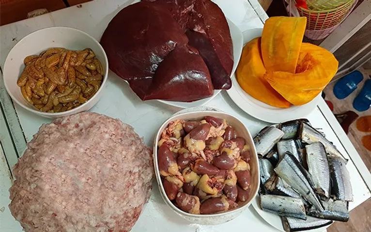 Những Nguyên Liệu Cơ Bản Để Làm Pate Tươi Cho Mèo