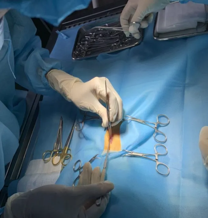 Đội ngũ bác sĩ thú y thực hiện phẫu thuật triệt sản trong phòng mổ vô trùng tiêu chuẩn quốc tế