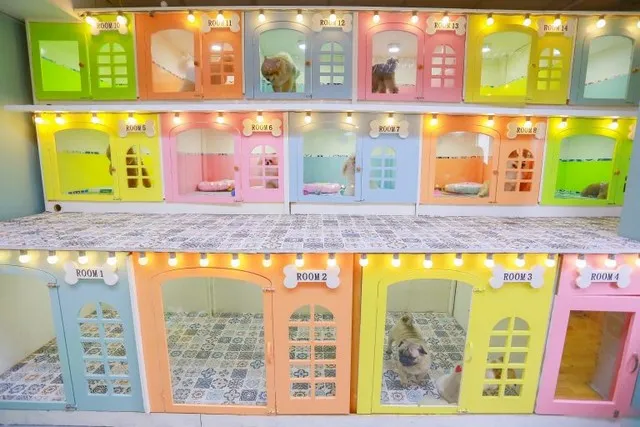 Phòng VIP khách sạn cho cún với đầy đủ tiện nghi