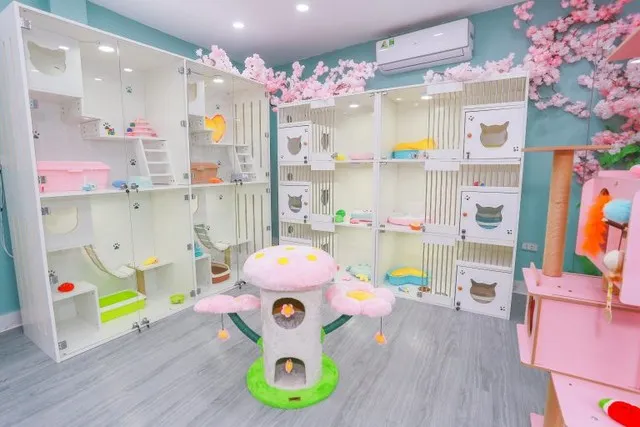 Thiết kế phòng VIP dành riêng cho mèo với chất liệu gỗ tự nhiên ấm áp