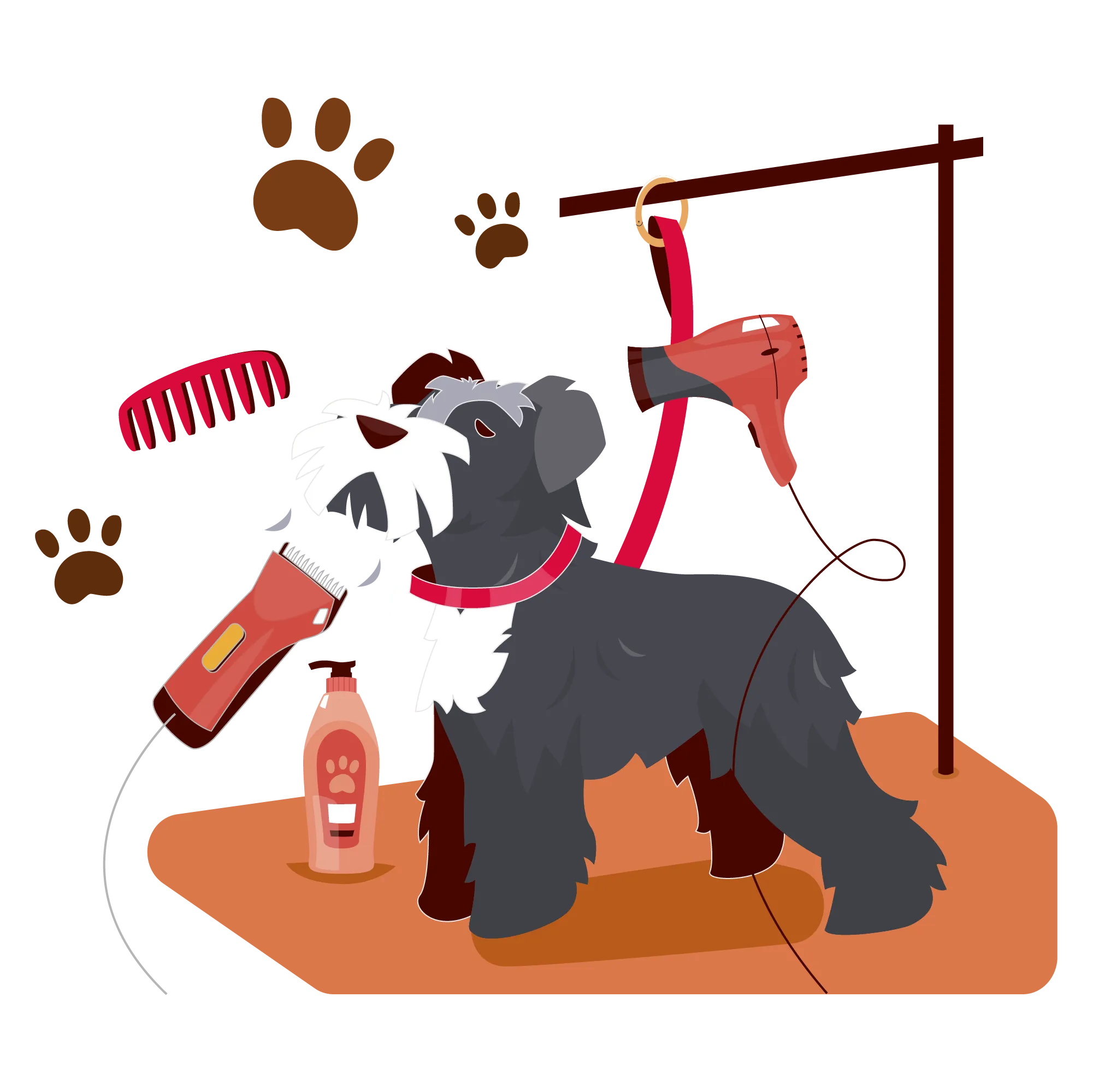 Chó sau khi tắm gội chuyên nghiệp với bộ lông bóng mượt