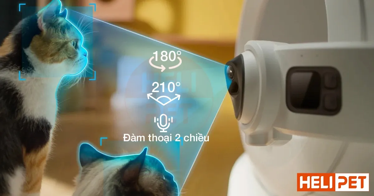 Sử dụng Purobot Ultra để quan sát các dấu hiệu bất thường của mèo