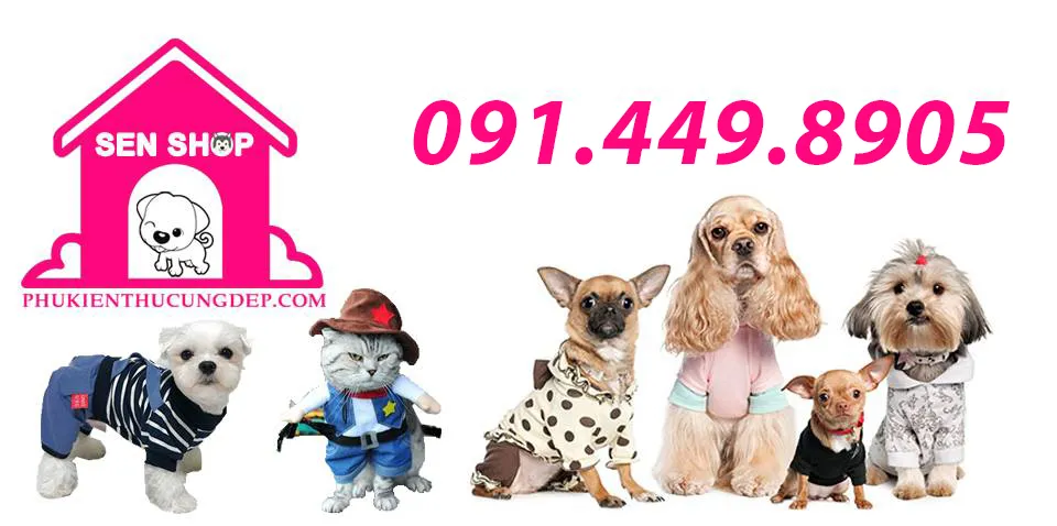 Quần áo chó mèo với nhiều kiểu dáng và màu sắc phù hợp cho từng giống