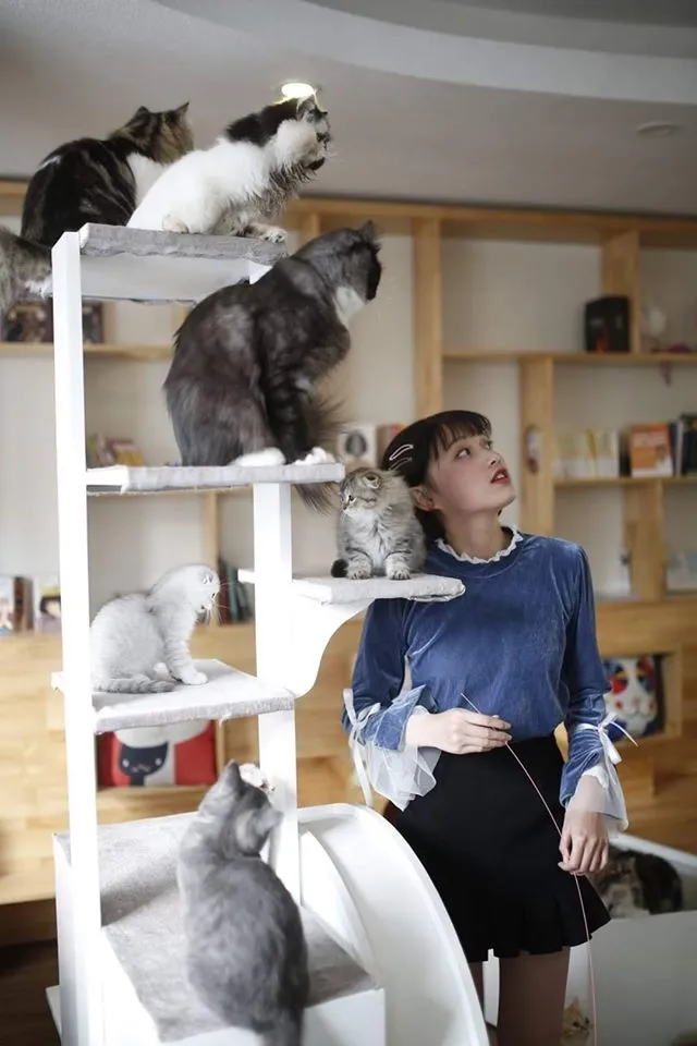 quan ca phe thu cung 3