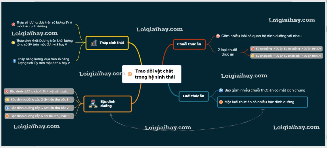 Sơ đồ tư duy minh họa mối quan hệ giữa chuỗi thức ăn trong hệ sinh thái và quá trình trao đổi chất