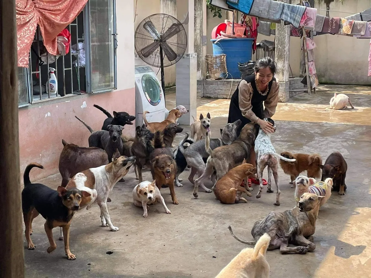 Trạm cứu hộ SGT có hai địa điểm tại quận 6 và Bình Chánh