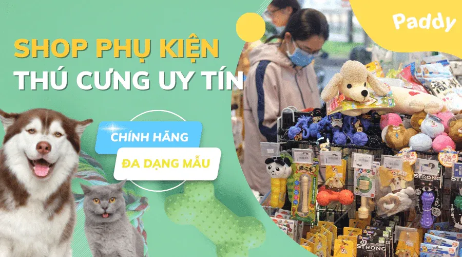 Nhân viên cửa hàng đang tư vấn các dòng phụ kiện cao cấp cho khách hàng nuôi mèo