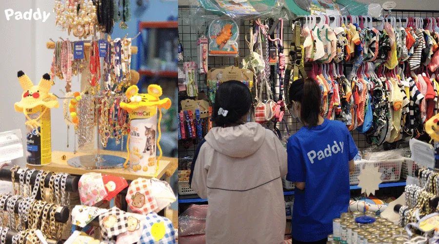 Khách hàng đang chọn lựa các loại đồ chơi kích thích trí tuệ cho chó tại cửa hàng