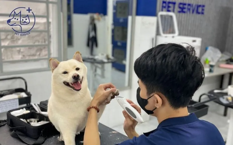 Spa chó mèo Bình Thạnh