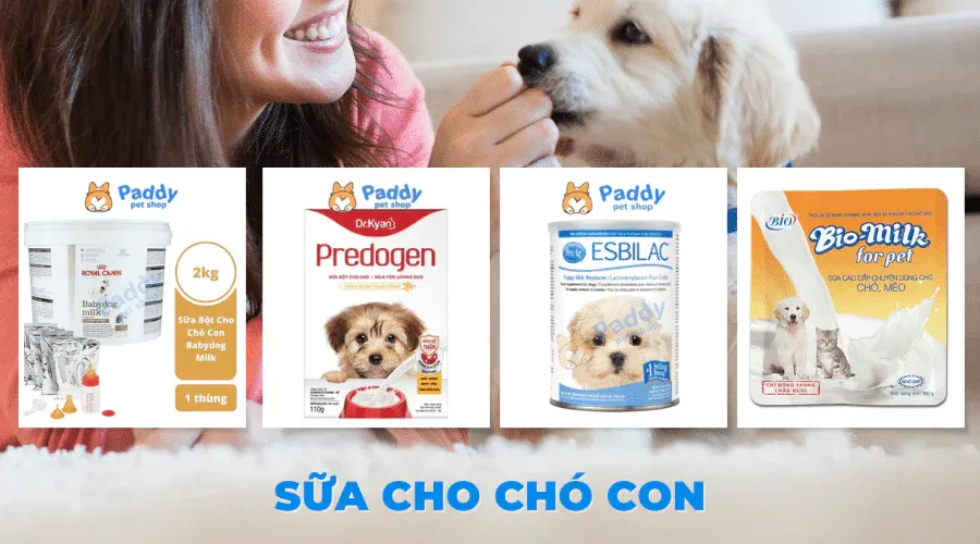 Sữa bột Predogen hỗ trợ tiêu hóa cho chó con