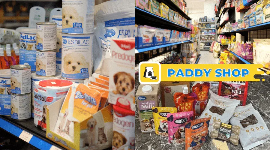 Cần chú ý vệ sinh và nhiệt độ ổ nằm cho chó con