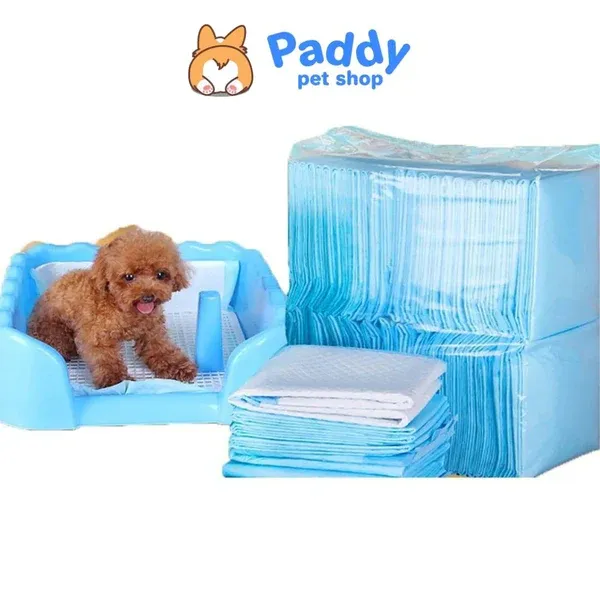 Tã lót chuồng cho chó mèo có khả năng kháng khuẩn và thấm hút mùi hiệu quả