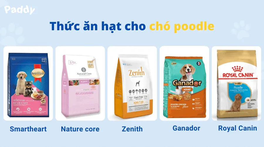 Các thương hiệu hạt thức ăn cho chó Poodle được ưa chuộng nhất 2026