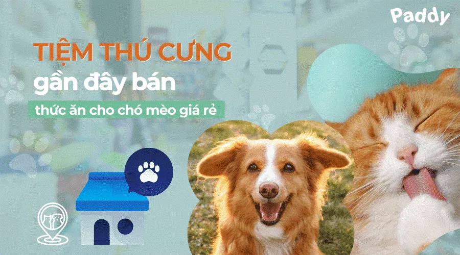 Tiệm thú cưng gần đây bán thức ăn chính hãng