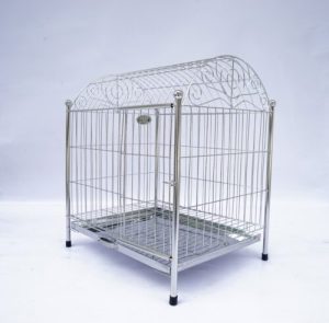 Top 7 Chuồng Nuôi Mèo Giá Rẻ Mà Các “Sen” Không Nên Bỏ Qua