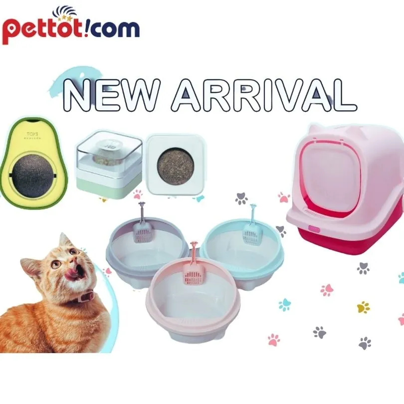 Lolipet - shop phụ kiện thú cưng đa dạng