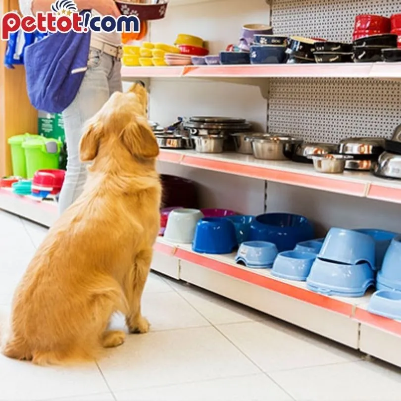 Ún Pet House - shop thú cưng Hà Đông