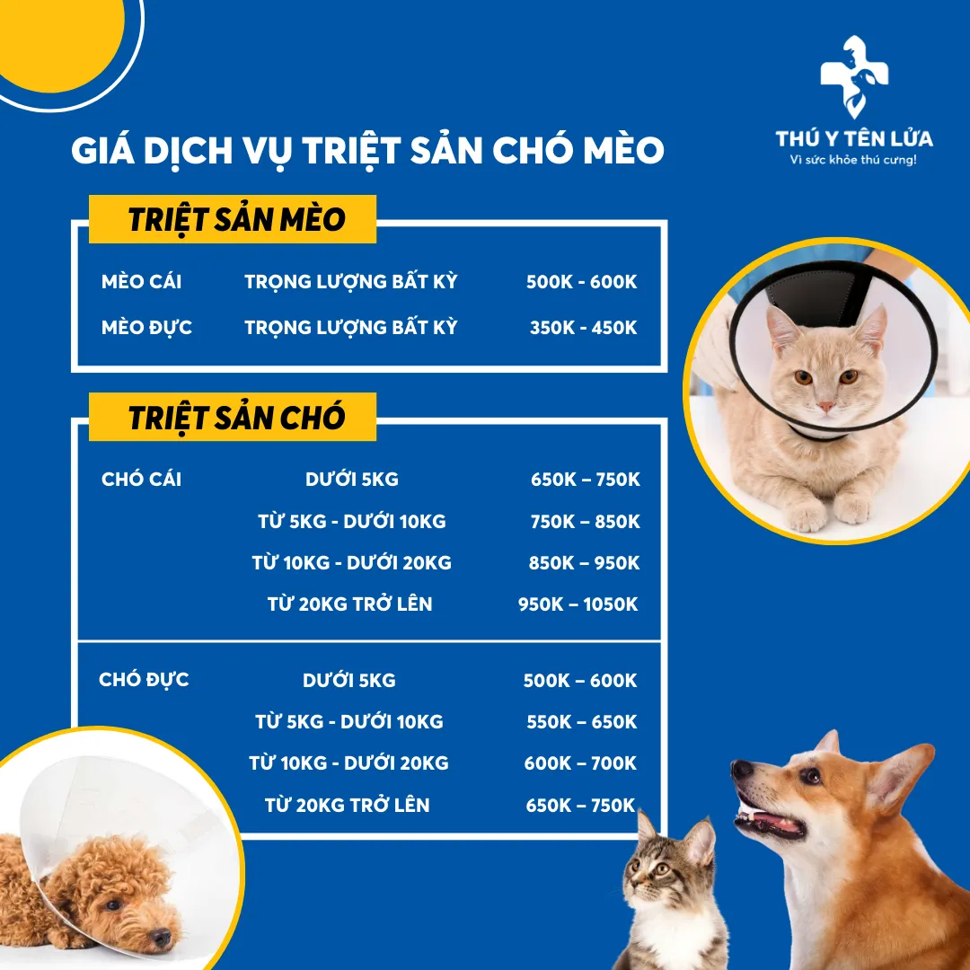 Bảng giá dịch vụ mổ lấy thai và triệt sản chó mèo mới nhất 2026