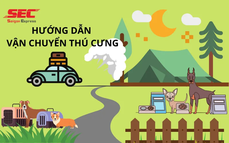 van-chuyen-cho-meo-2