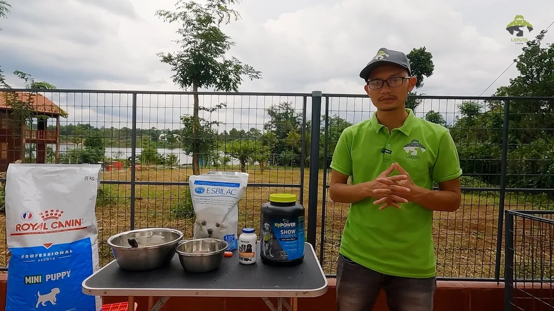 Video hướng dẫn làm thức ăn dặm cho chó con