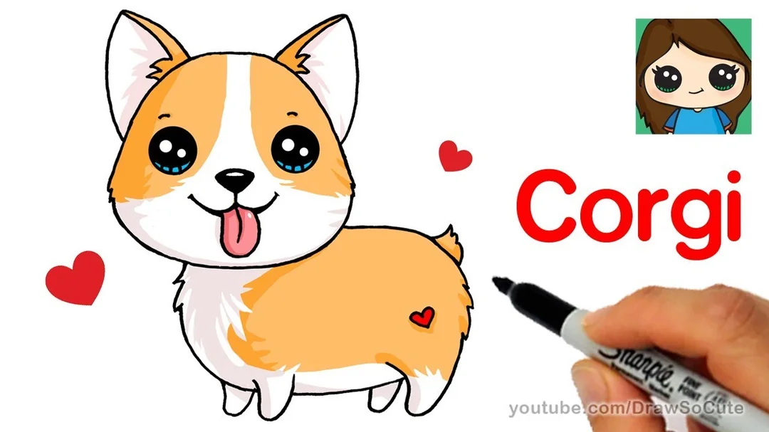 Video hướng dẫn vẽ chó Corgi cartoon từng bước