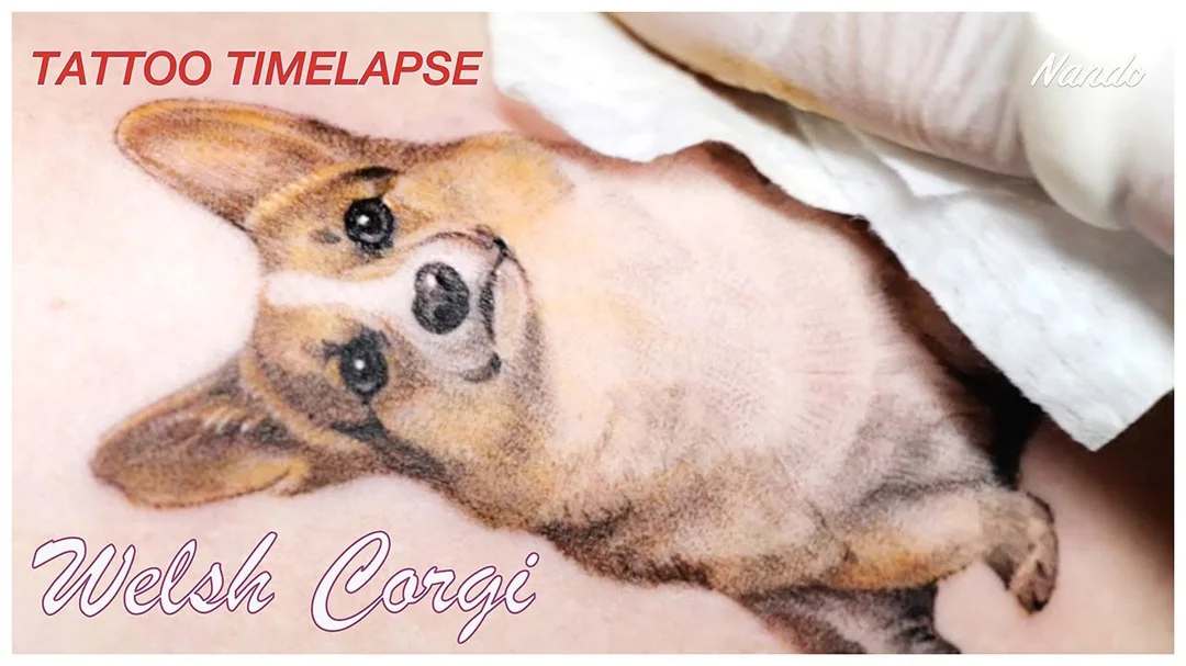 Video hướng dẫn xăm hình chó Corgi