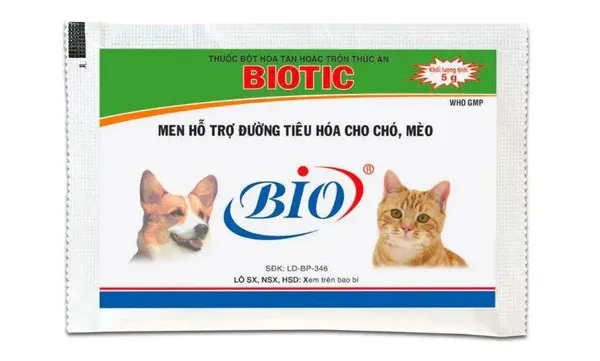 Bổ sung men tiêu hóa cho mèo