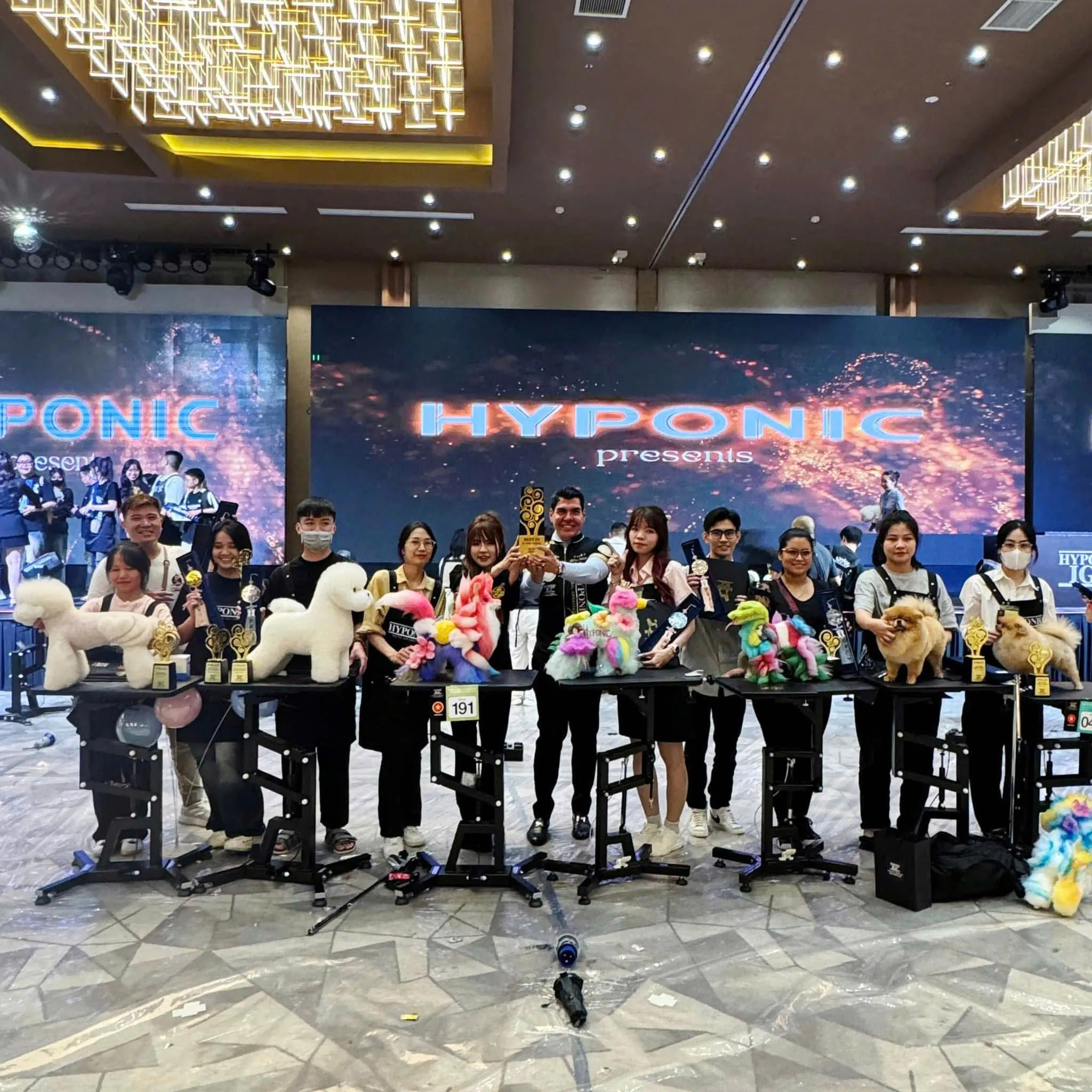 Đội ngũ groomer chuyên nghiệp đang làm việc